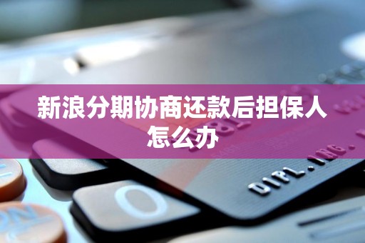 新浪分期協(xié)商還款后，信用擔(dān)保人如何應(yīng)對(duì)與解除擔(dān)保責(zé)任？
