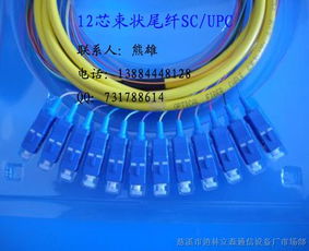 連接數字世界的橋梁 束狀尾纖、光纖跳線與皮線光纜